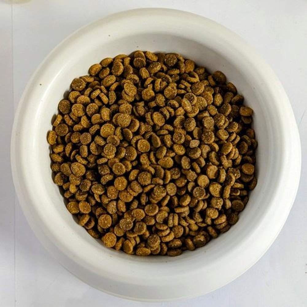 Monge NaturalSuperpremium Sterilized Monoprotein cat trota sfuso