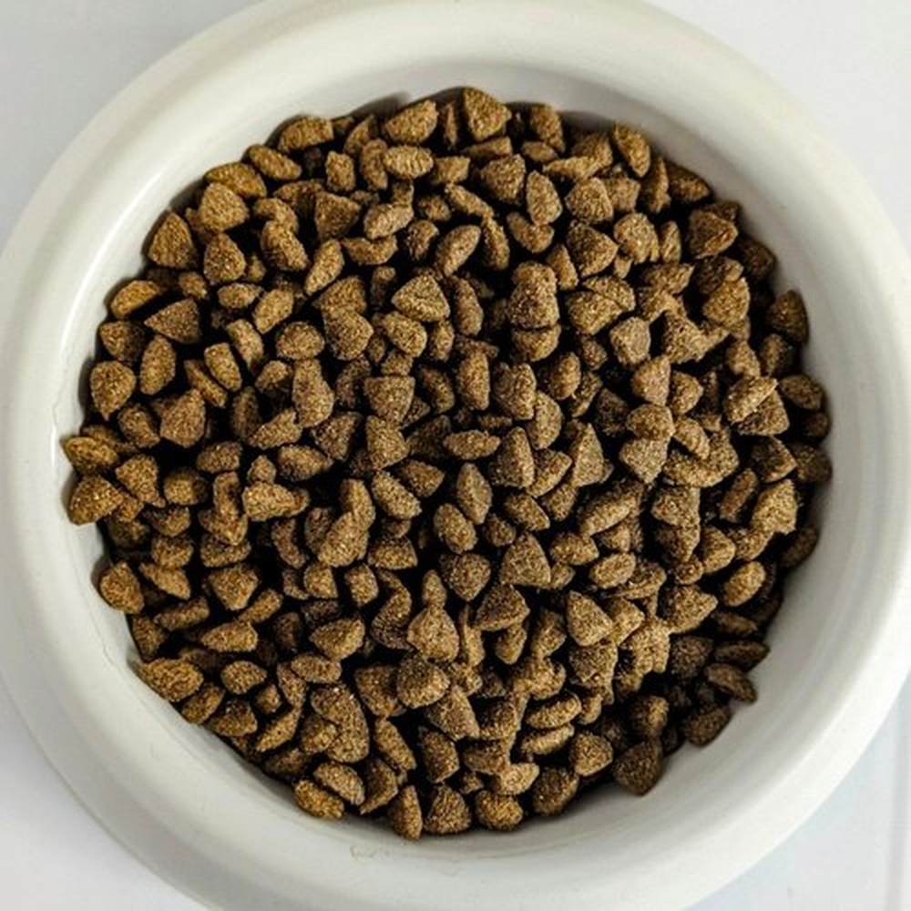 Gemon Sterilised - Tonno e Salmone CAT