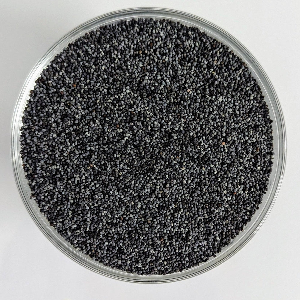 Papavero semi