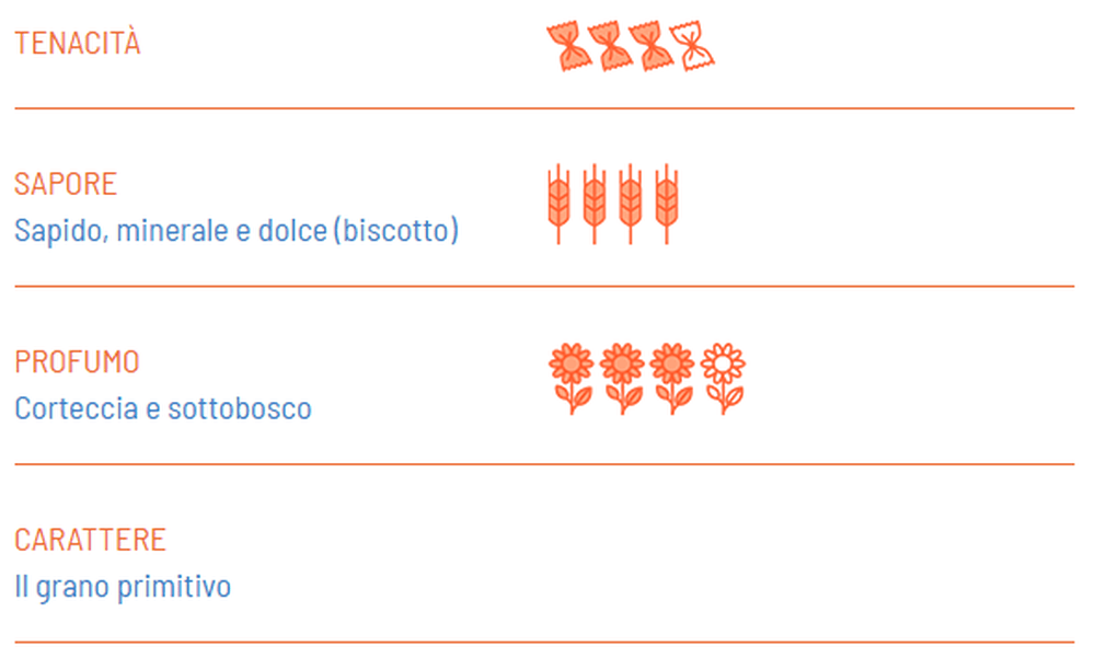 Organic Farro Tagliatelle - Girolomoni