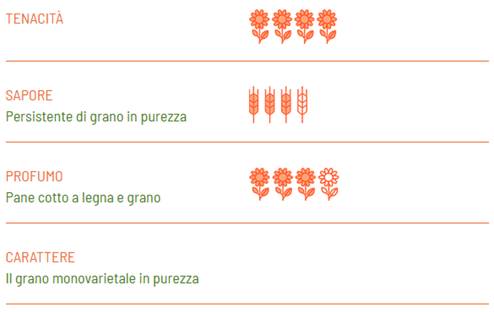 Organic Senatore Cappelli Tagliatelle - Girolomoni