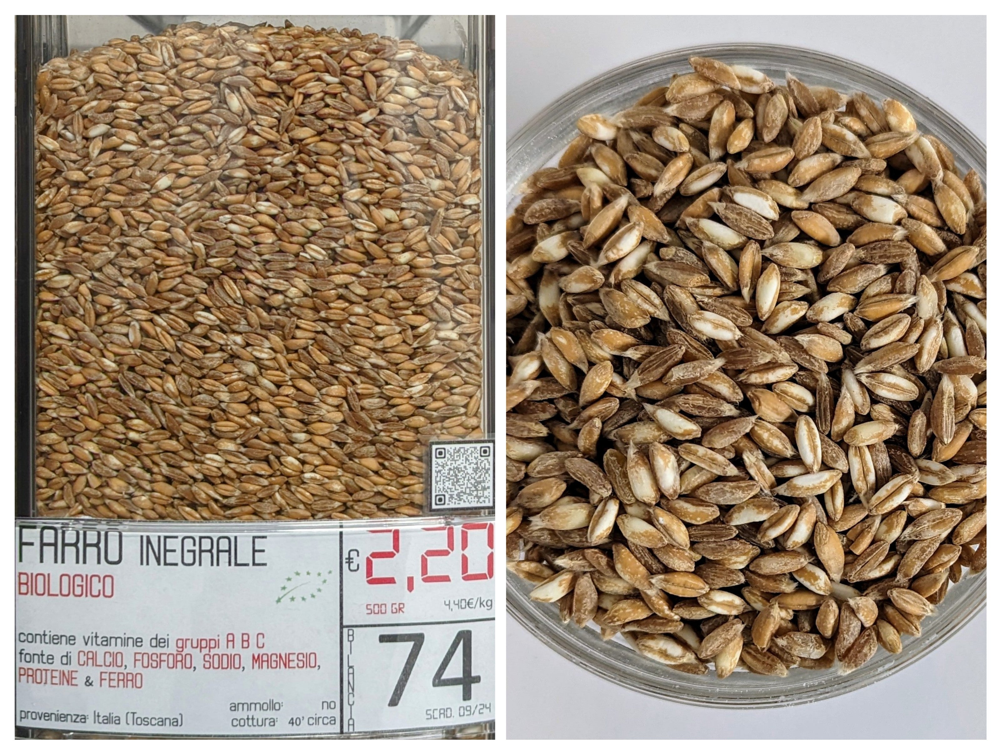 Farro integrale BIOLOGICO