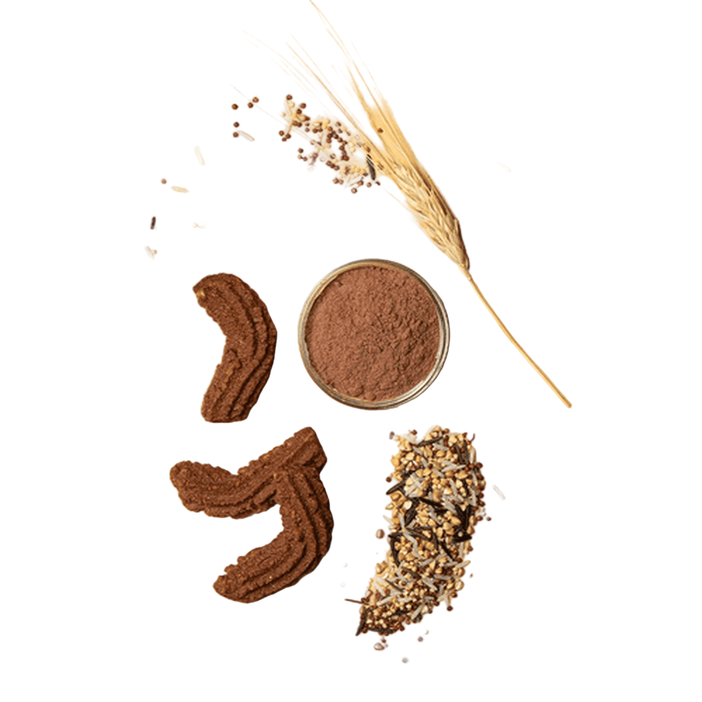 Cacao e Cereali - Vegan - Cavanna