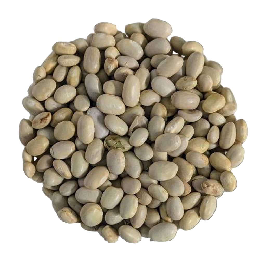 Fagioli Zolfini Italia sfuso 