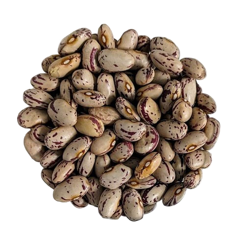 Fagioli borlotti bio Italia sfuso