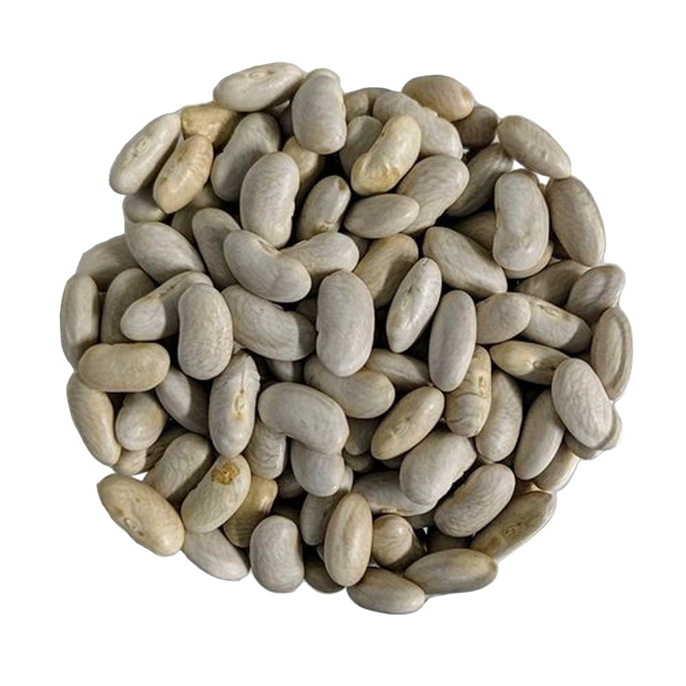 Fagioli cannellini bio Italia sfuso