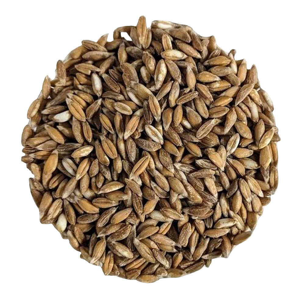 Farro integrale BIOLOGICO Premium Quality - Del Colle