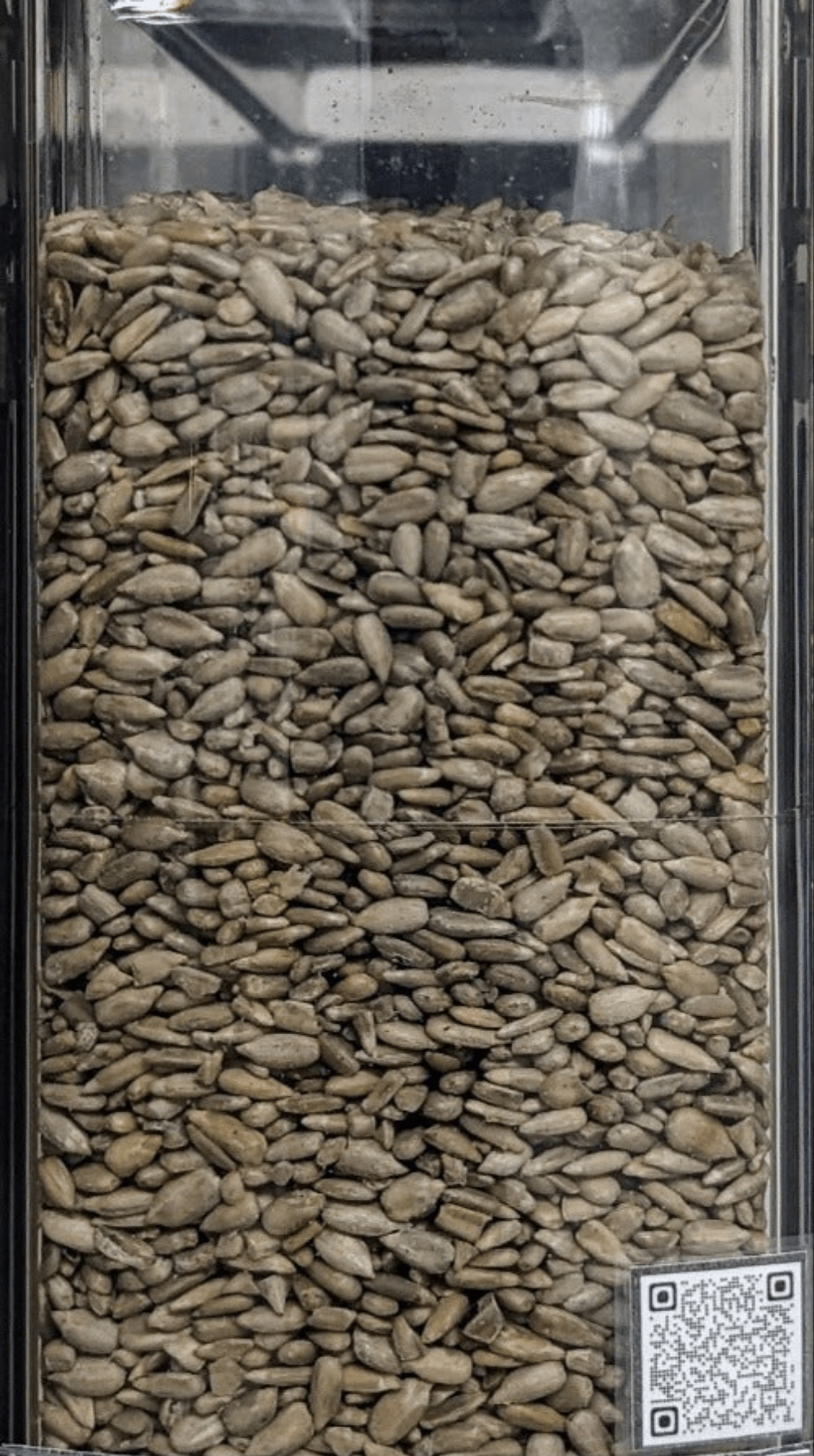 Sunflower seeds