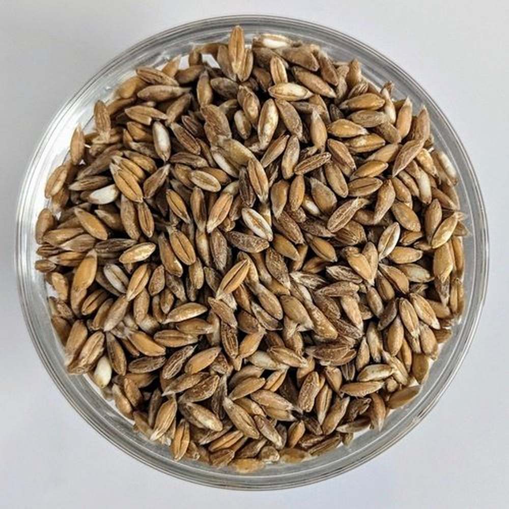 Farro integrale bio
