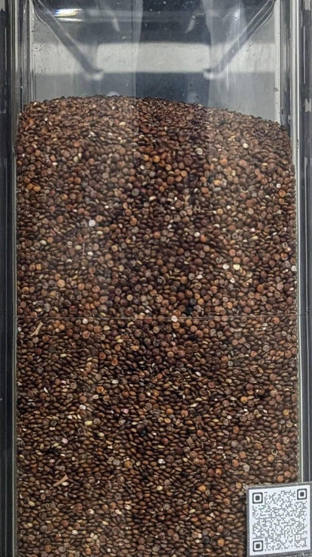 Quinoa rossa sfuso