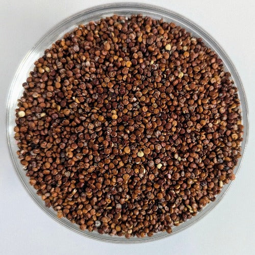 Quinoa rossa sfuso