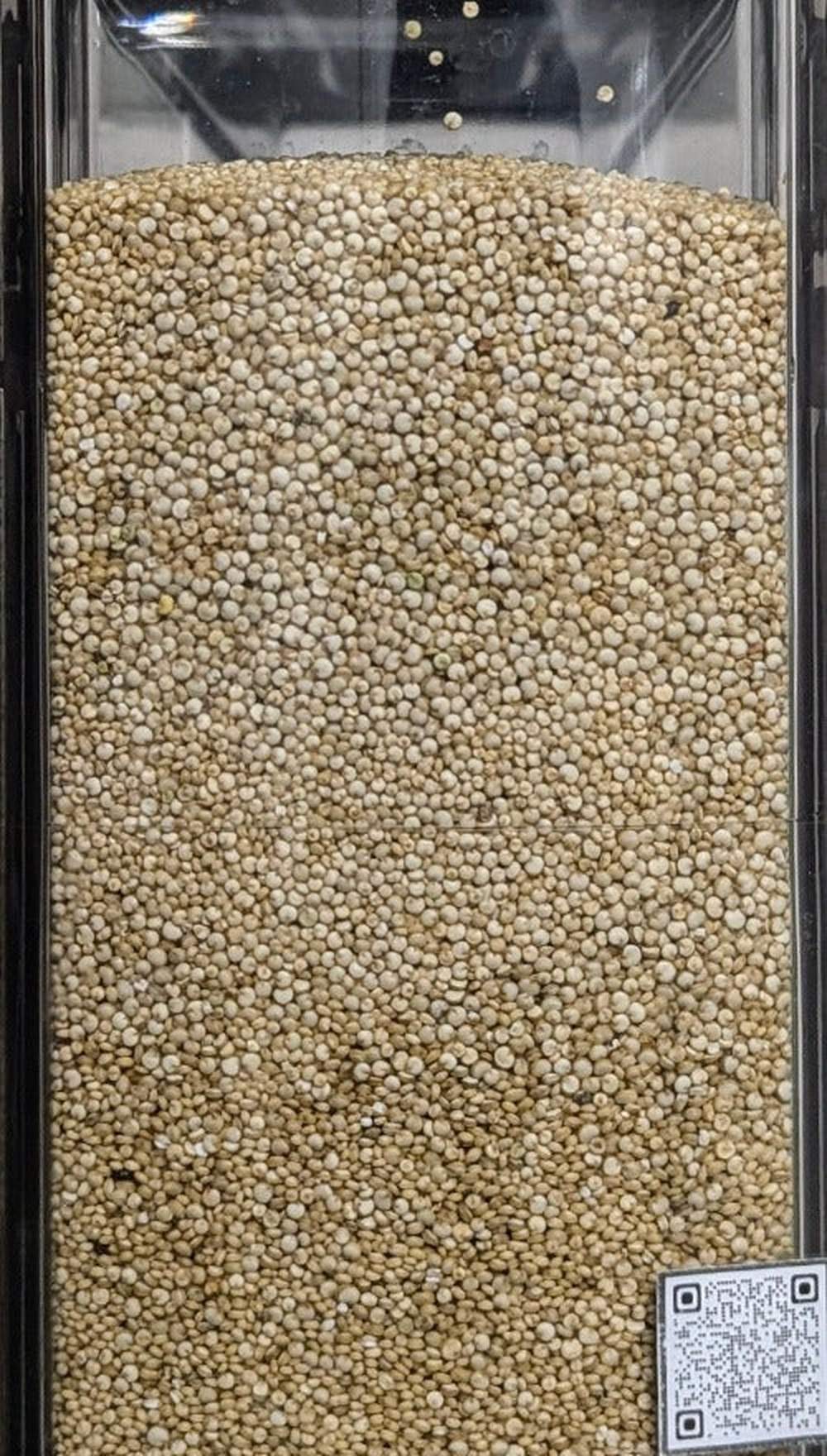 Quinoa bianca sfuso