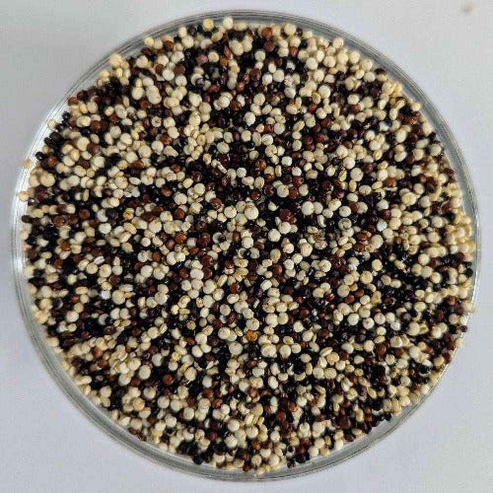 Quinoa mix sfuso
