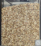 Farro perlato biologico Italia toscana 