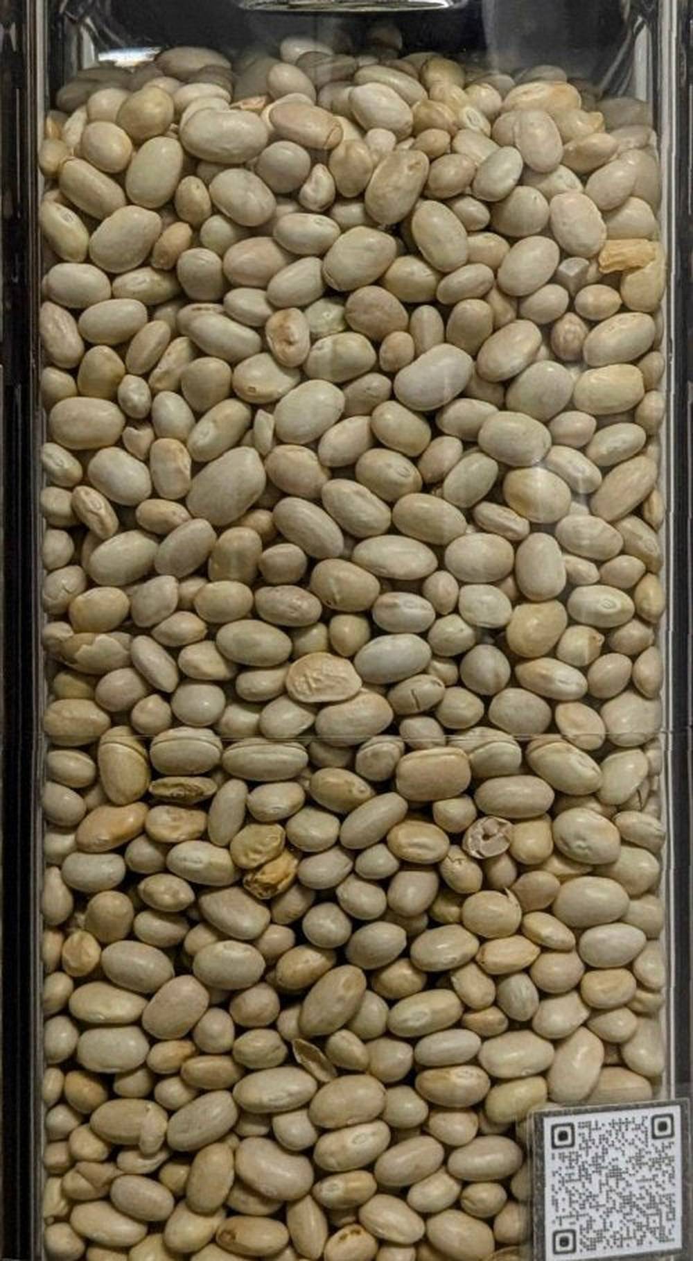 Fagioli Zolfini Italia sfuso