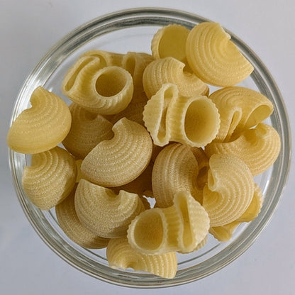 conchiglie bio bronzo girolomoni punto sfuso