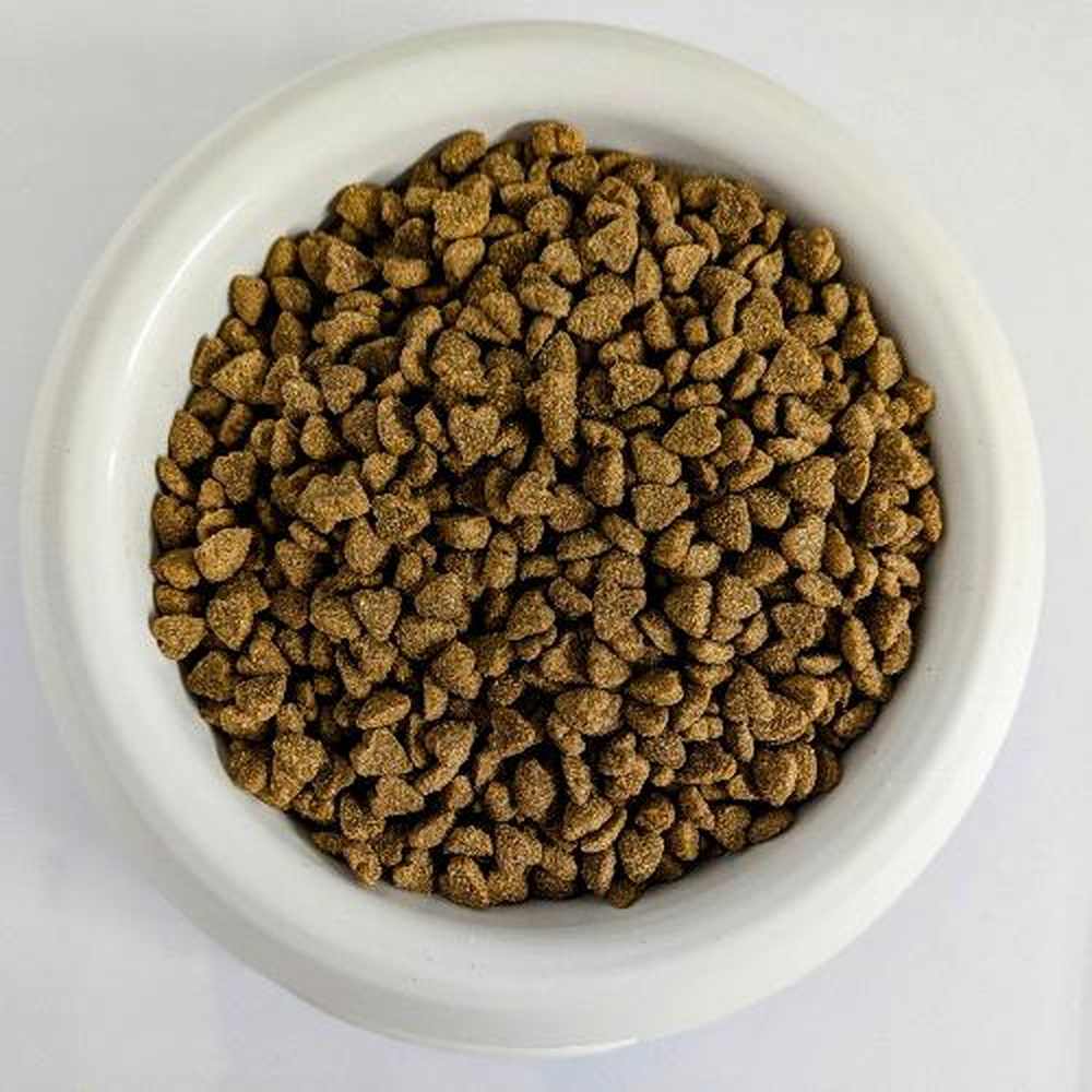 Gemon Sterilised - Beef CAT