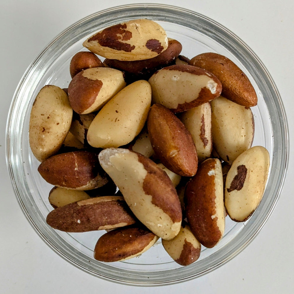 Raw Brazil Nuts First Choice