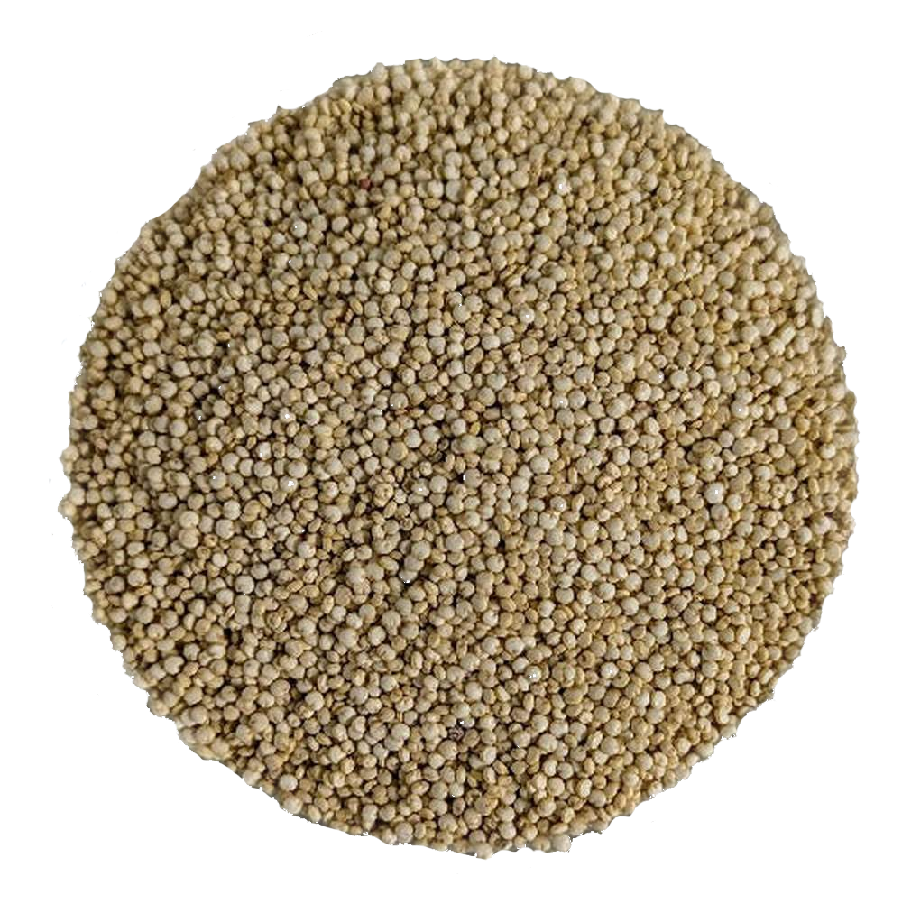 Quinoa Bianca Reale - Del Colle