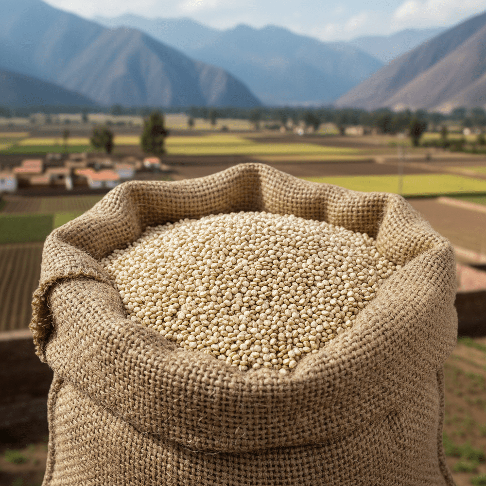 Quinoa Bianca Reale - Del Colle