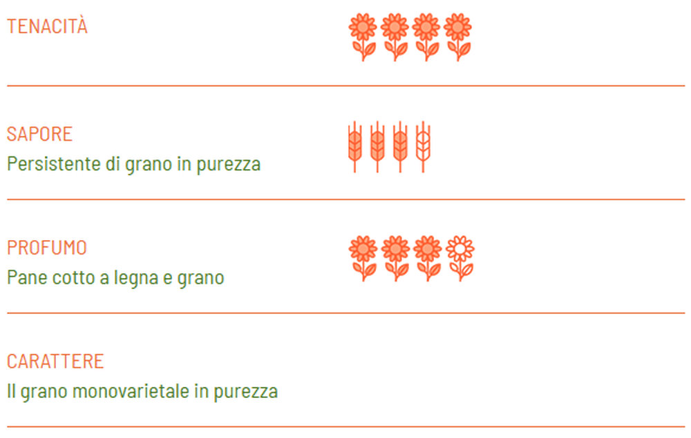 Linguine BIO Senatore Cappelli - Girolomoni