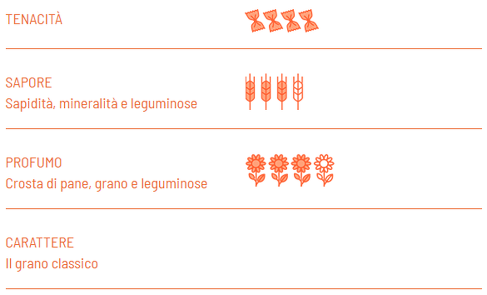 Fusilli BIO trafilatura ruvida - Girolomoni