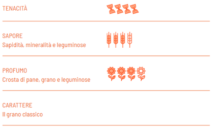 Fusilli BIO trafilatura ruvida - Girolomoni