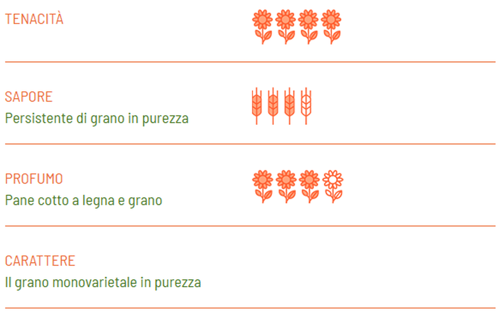 Penne BIO Senatore Cappelli - Girolomoni