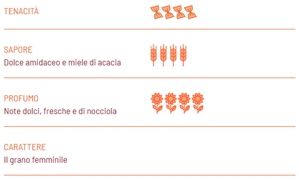 Spaghetti BIO Graziella Ra - Khorasan semi-integrali - Girolomoni