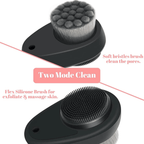Face Brush