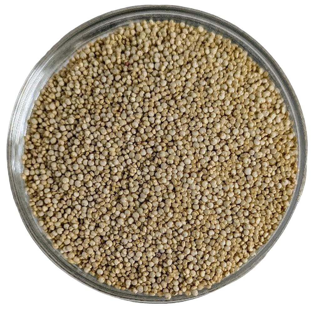 Royal White Quinoa - Del Colle