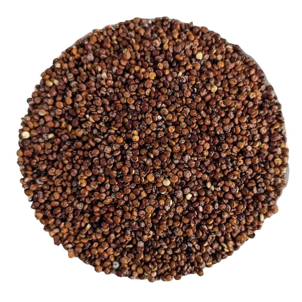 Andean Red Quinoa - Del Colle