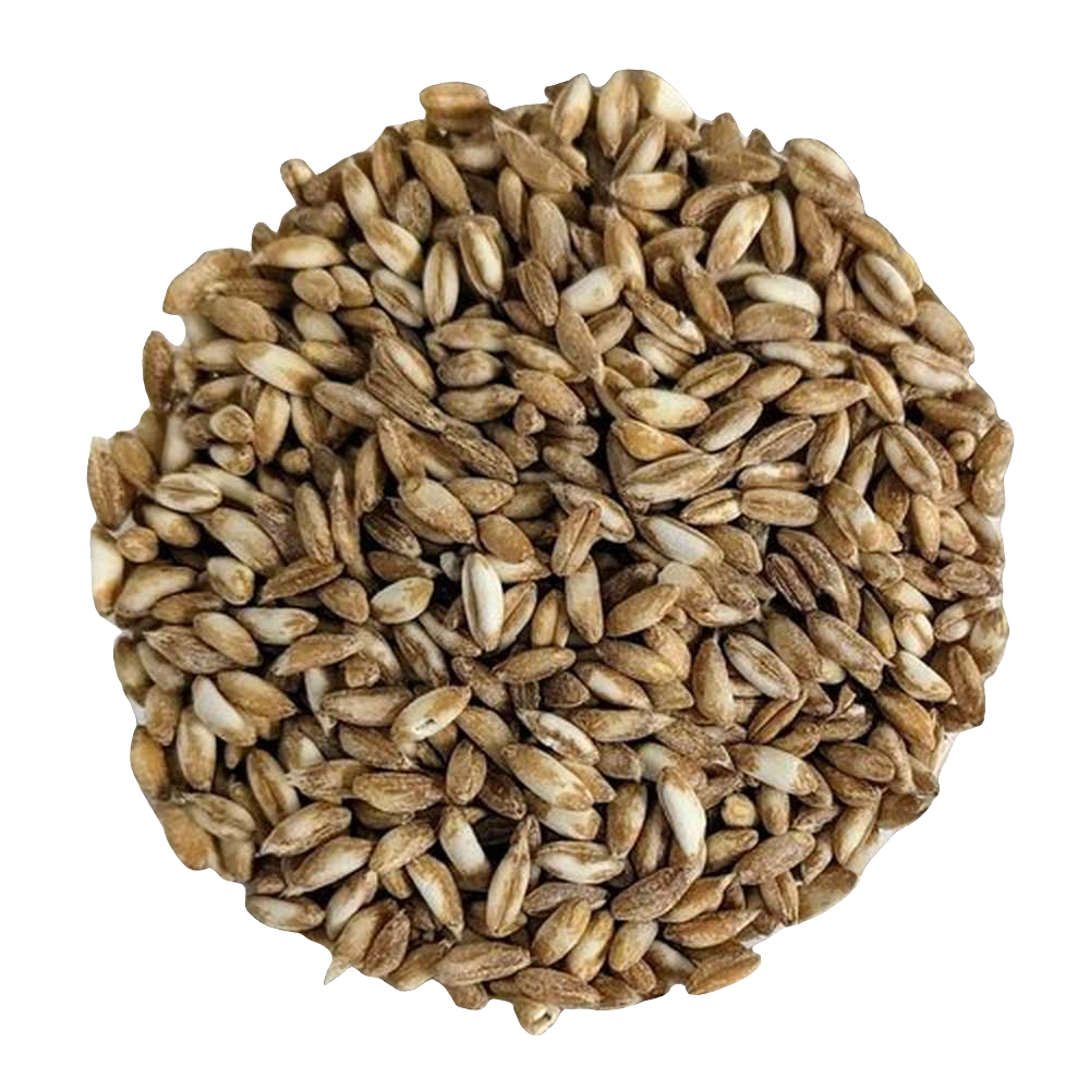 Garfagnana Spelt PGI - Del Colle