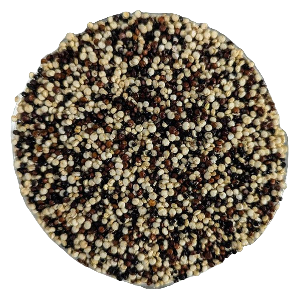 Quinoa MIX - Del Colle 