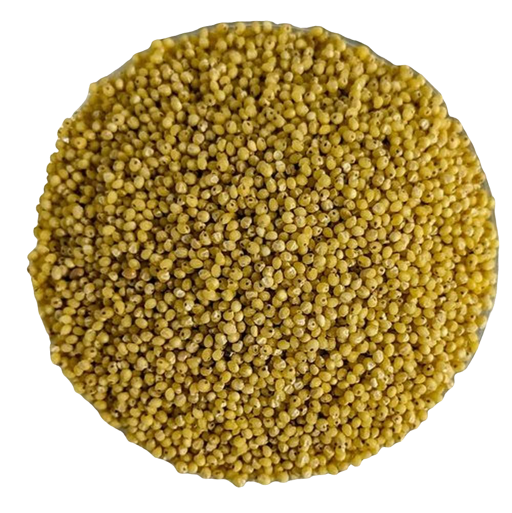 Premium Quality Organic Hulled Millet - Del Colle