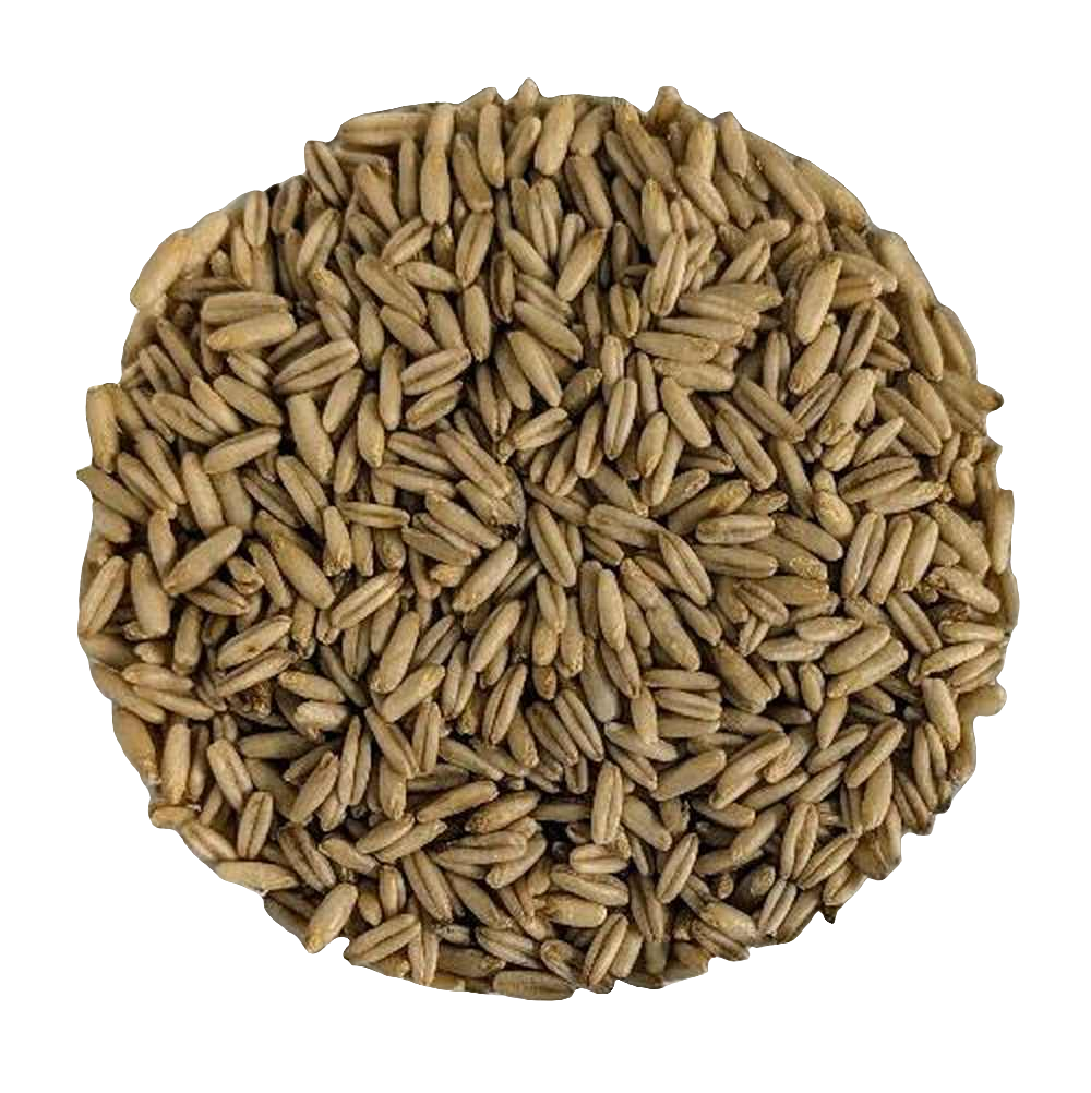 Whole hulled oats First Choice (Avena Sativa) - Del Colle