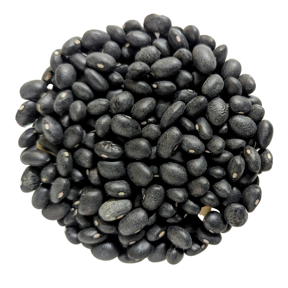 FAGIOLI NERI DEL COLLE