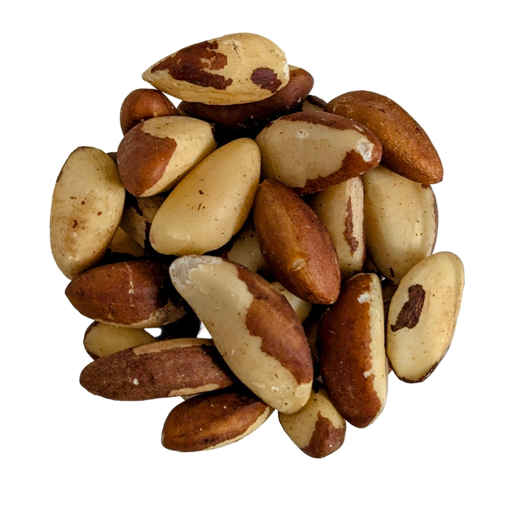 noci brasiliane prima scelta sfuso