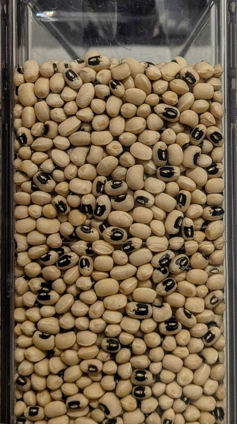 Fagioli dall'Occhio Extra Quality - Del Colle