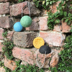 spugna in konjac