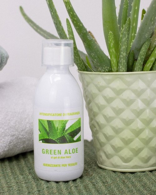 Green aloe INTENSITY LavaVerde